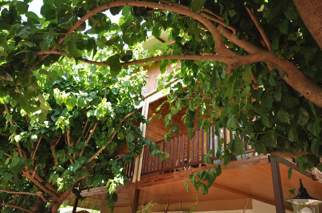 Hotel Cesur Pansiyon Çıralı Esterno foto