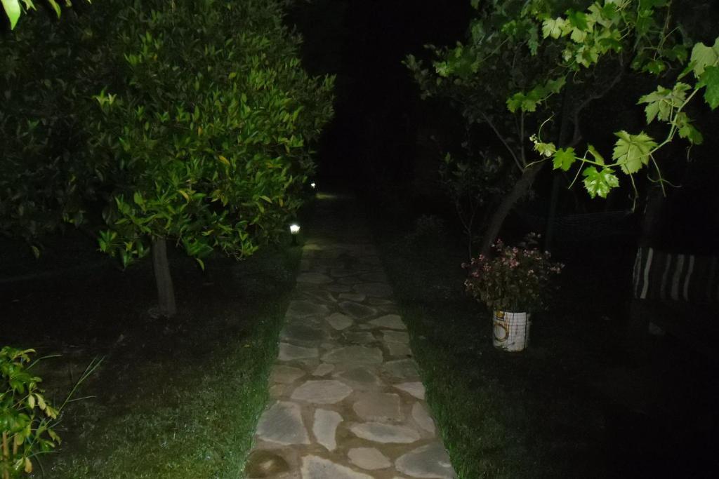 Hotel Cesur Pansiyon Çıralı Esterno foto