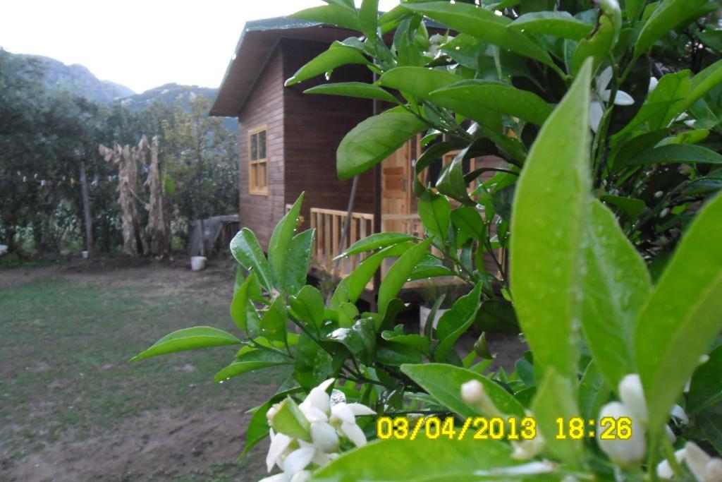 Hotel Cesur Pansiyon Çıralı Camera foto